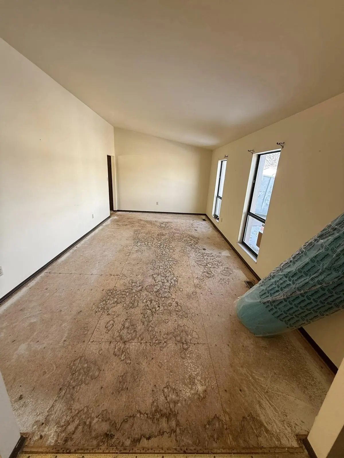 After: Living room cleanout